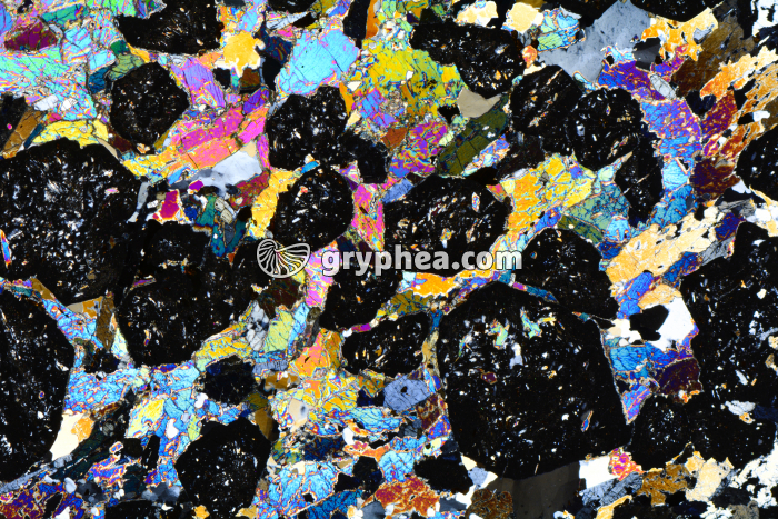 Eclogite LPA x3,5 - gryphea.org